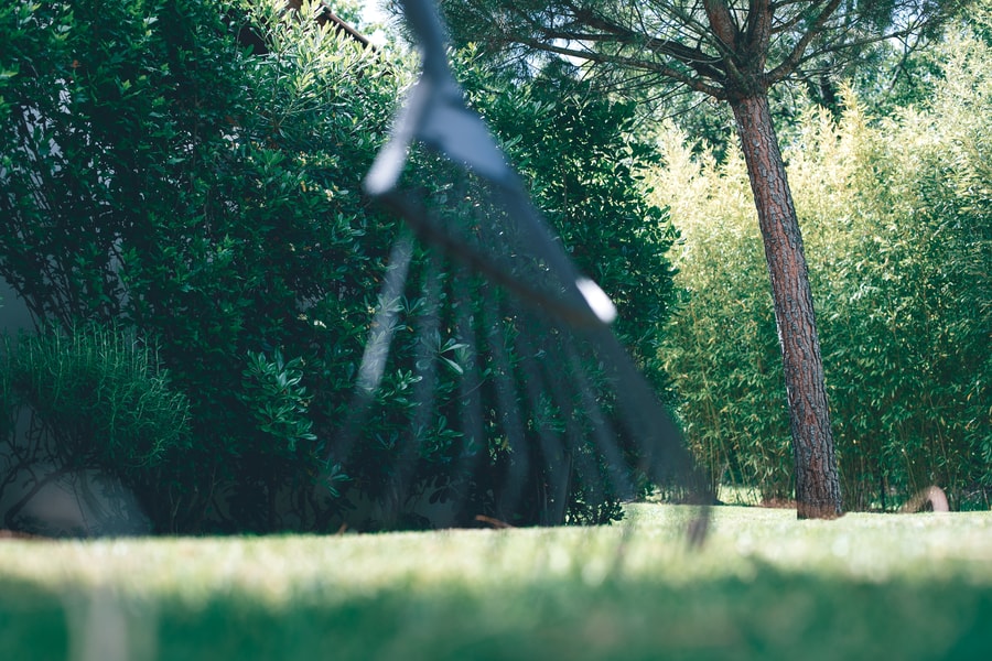 Illustration 2 pour C’est pourquoi nous prêtons une attention particulière à choisir
des plantes...